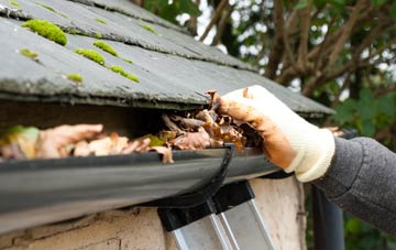 gutter cleaning East Mains